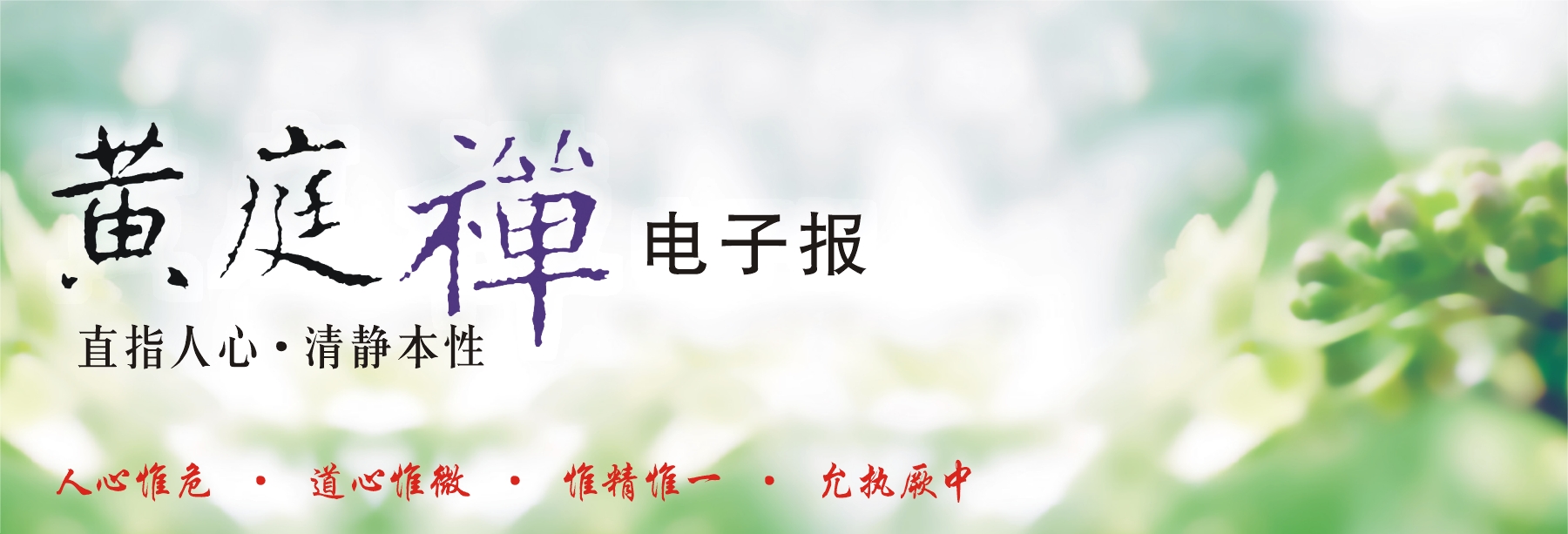 中华黄庭禅学会2015.06.21电子报