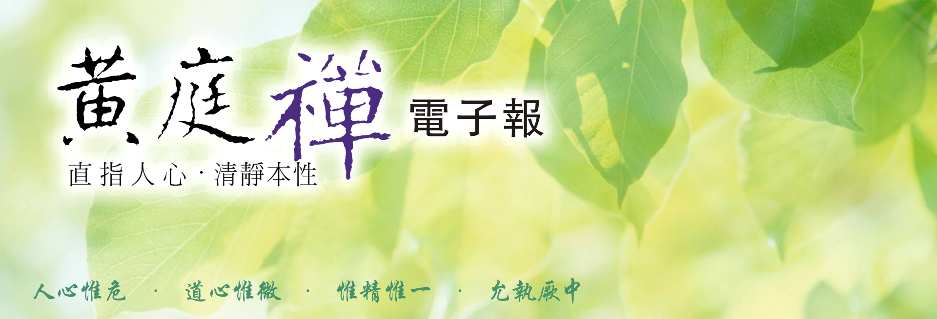 中华黄庭禅学会2019.02.21电子报